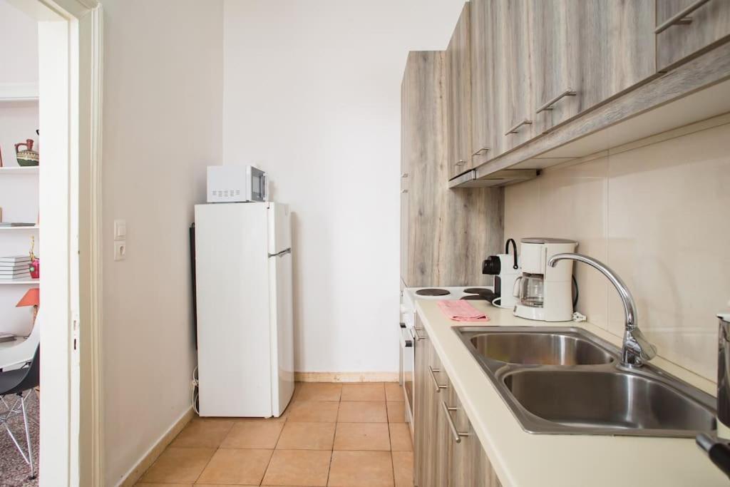 Splendid Full 5bdr/3bath/2kitchens Mansion In Ath * Athens